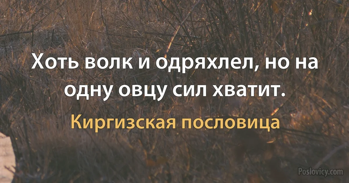 Хоть волк и одряхлел, но на одну овцу сил хватит. (Киргизская пословица)