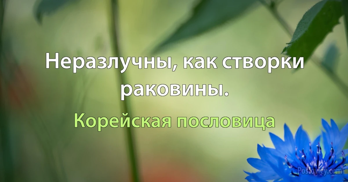 Неразлучны, как створки раковины. (Корейская пословица)