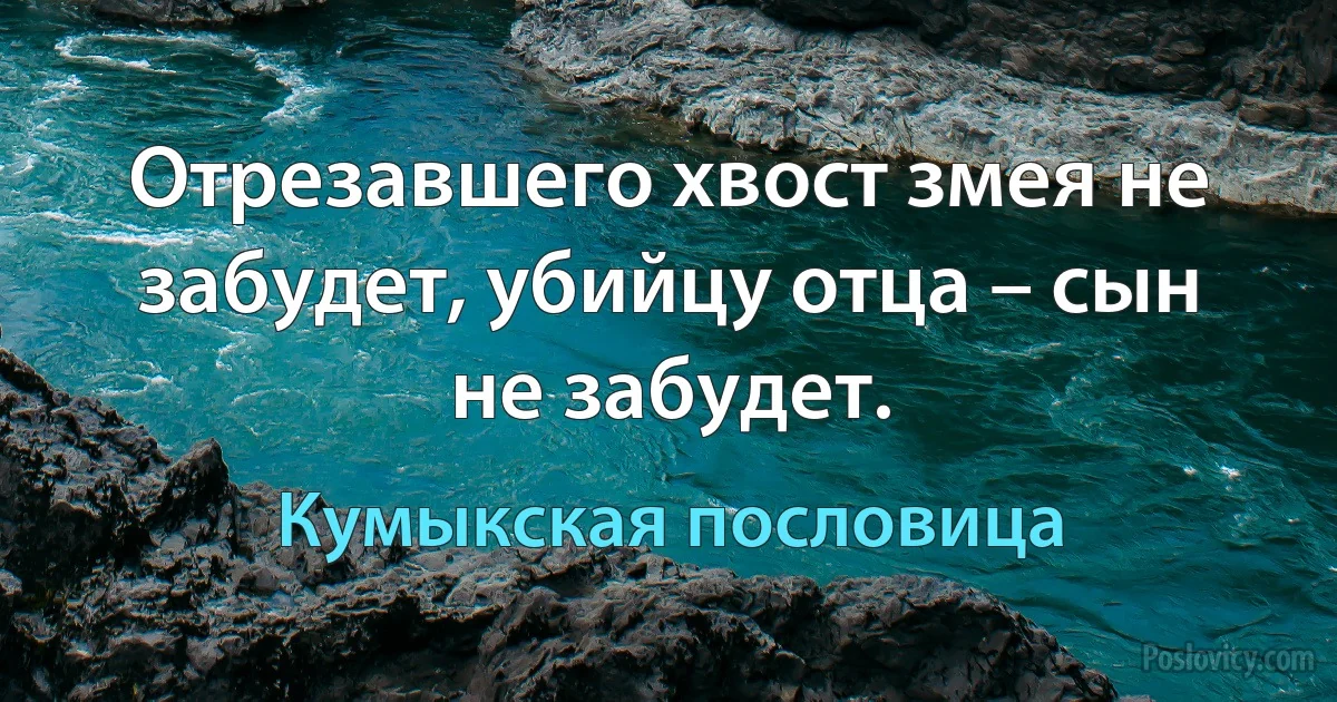 Отрезавшего хвост змея не забудет, убийцу отца – сын не забудет. (Кумыкская пословица)