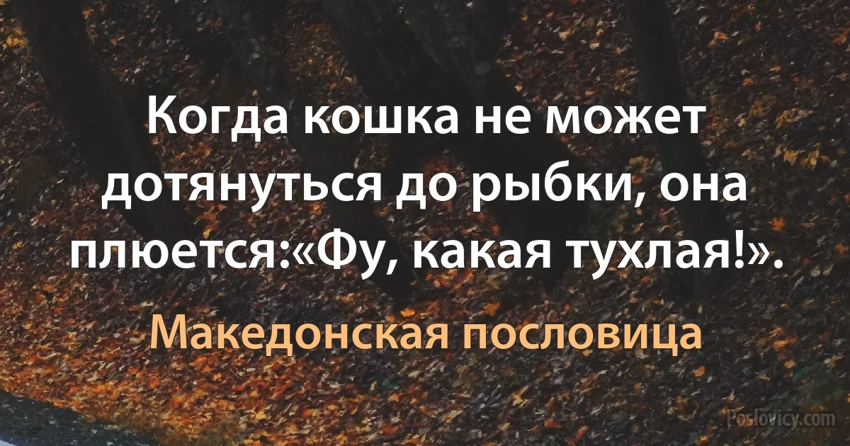 Когда кошка не может дотянуться до рыбки, она плюется:«Фу, какая тухлая!». (Македонская пословица)