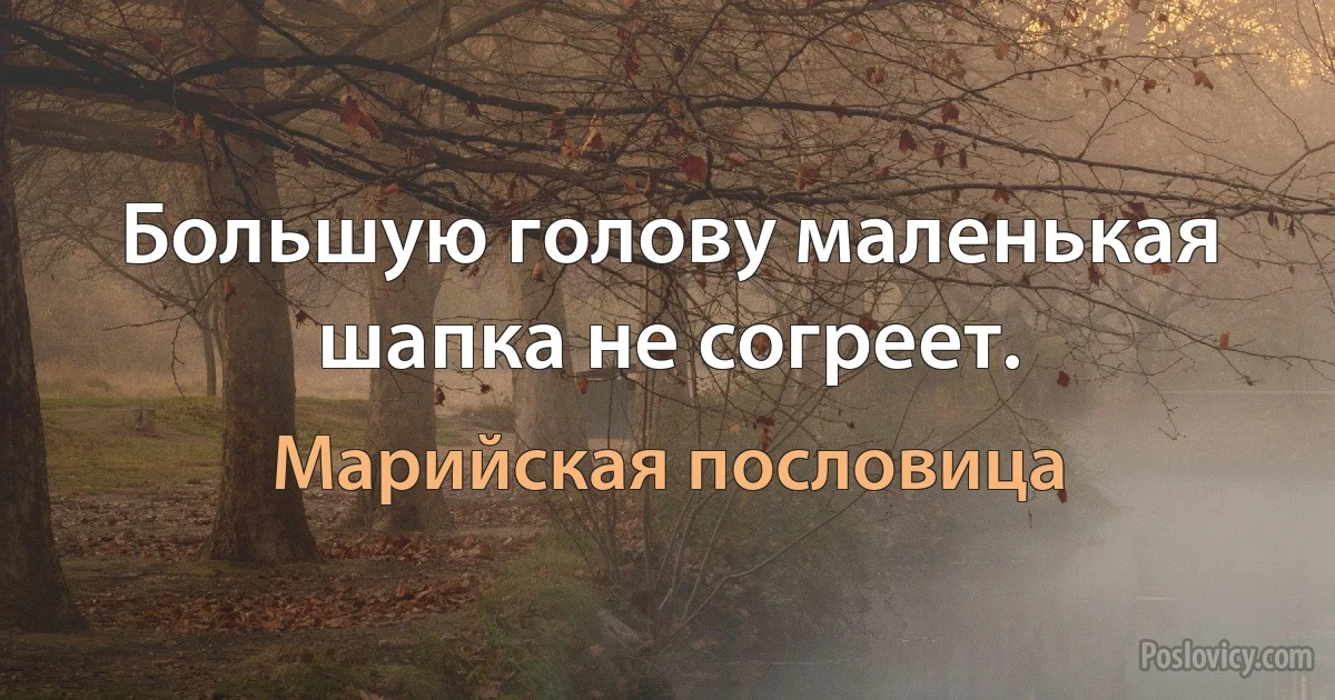 Большую голову маленькая шапка не согреет. (Марийская пословица)