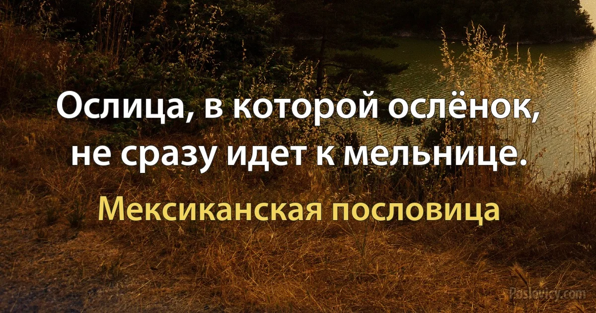 Ослица, в которой ослёнок, не сразу идет к мельнице. (Мексиканская пословица)