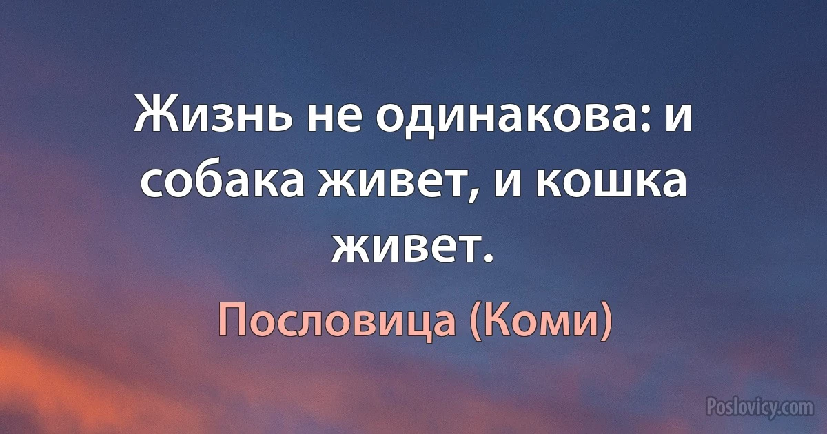 Жизнь не одинакова: и собака живет, и кошка живет. (Пословица (Коми))