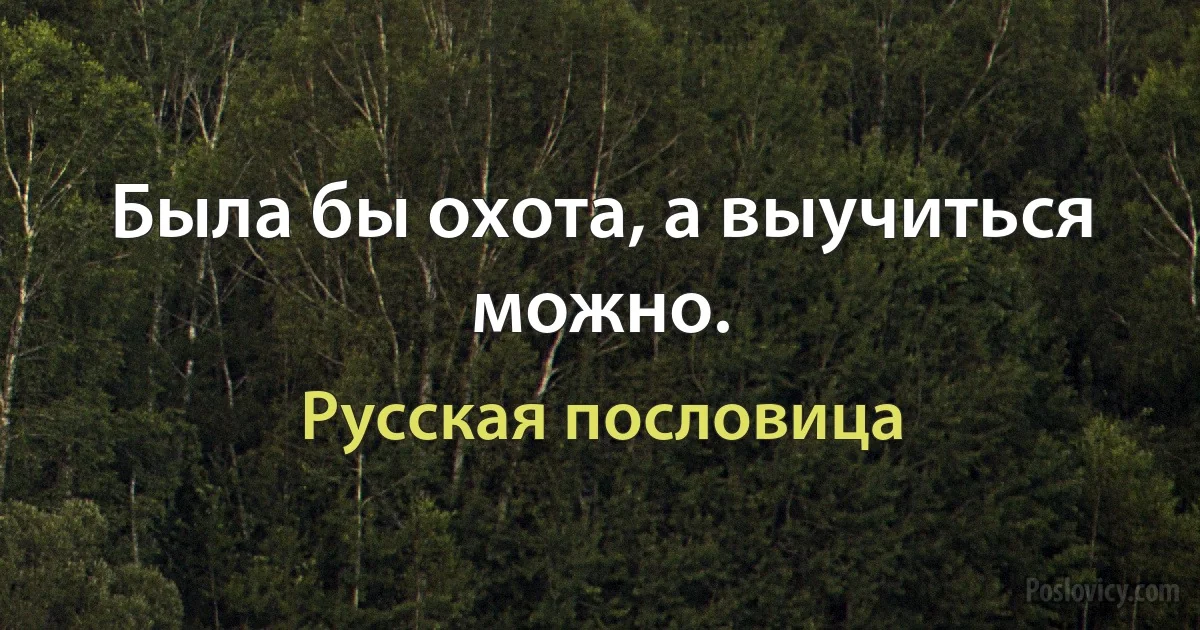 Была бы охота, а выучиться можно. (Русская пословица)