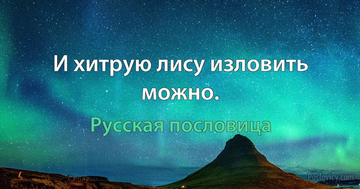 И хитрую лису изловить можно. (Русская пословица)