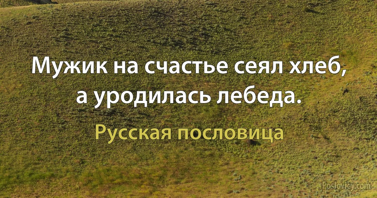 Мужик на счастье сеял хлеб, а уродилась лебеда. (Русская пословица)