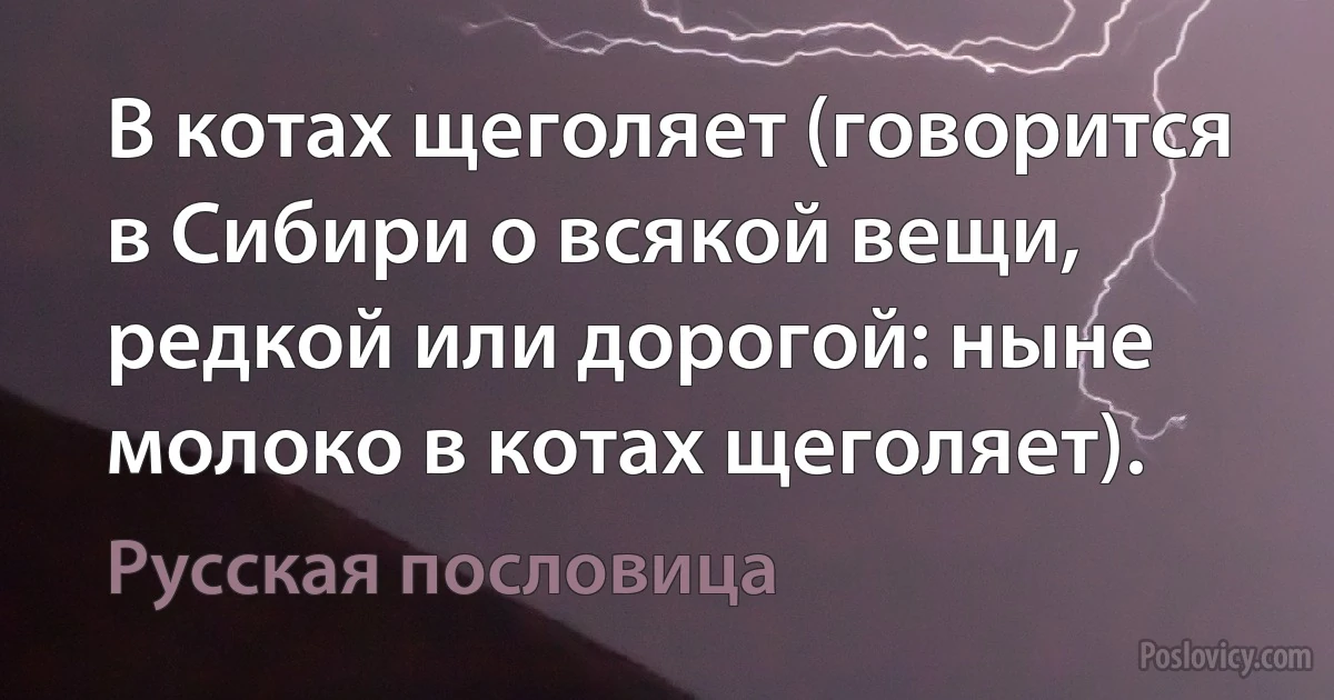 В котах щеголяет (говорится в Сибири о всякой вещи, редкой или дорогой: ныне молоко в котах щеголяет). (Русская пословица)