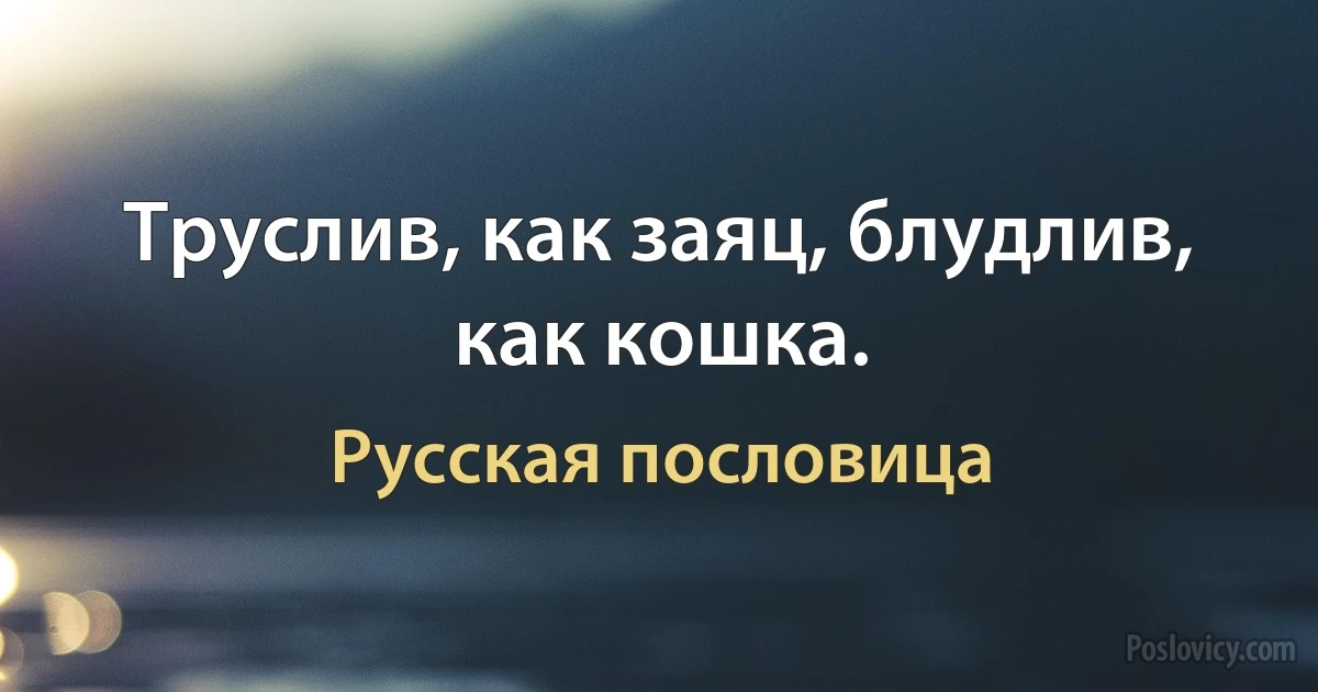 Труслив, как заяц, блудлив, как кошка. (Русская пословица)