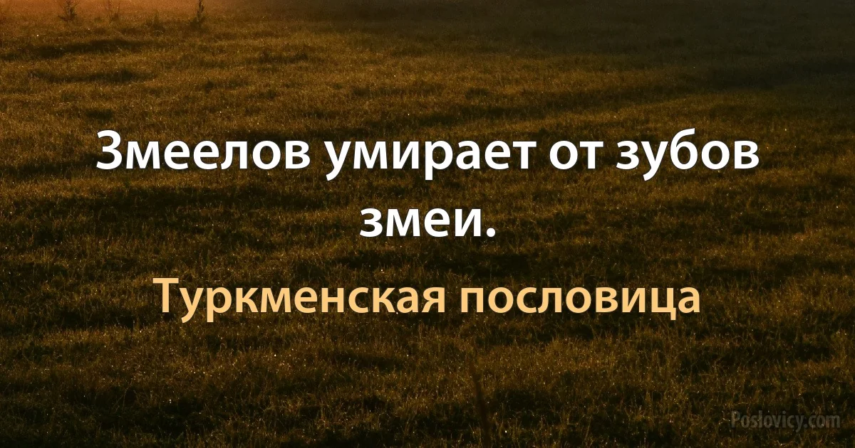 Змеелов умирает от зубов змеи. (Туркменская пословица)