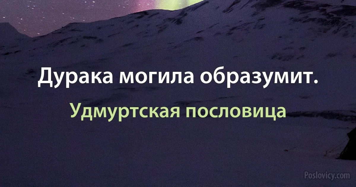 Дурака могила образумит. (Удмуртская пословица)