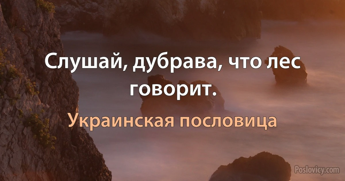 Слушай, дубрава, что лес говорит. (Украинская пословица)