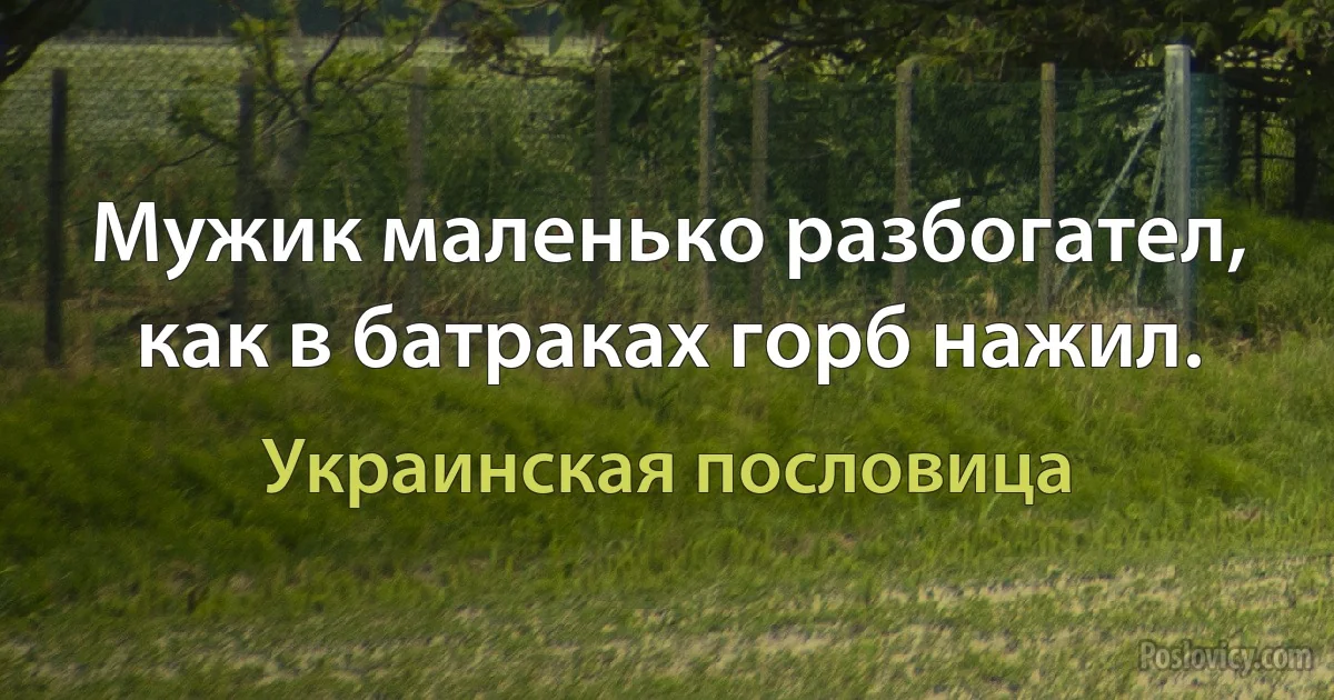 Мужик маленько разбогател, как в батраках горб нажил. (Украинская пословица)