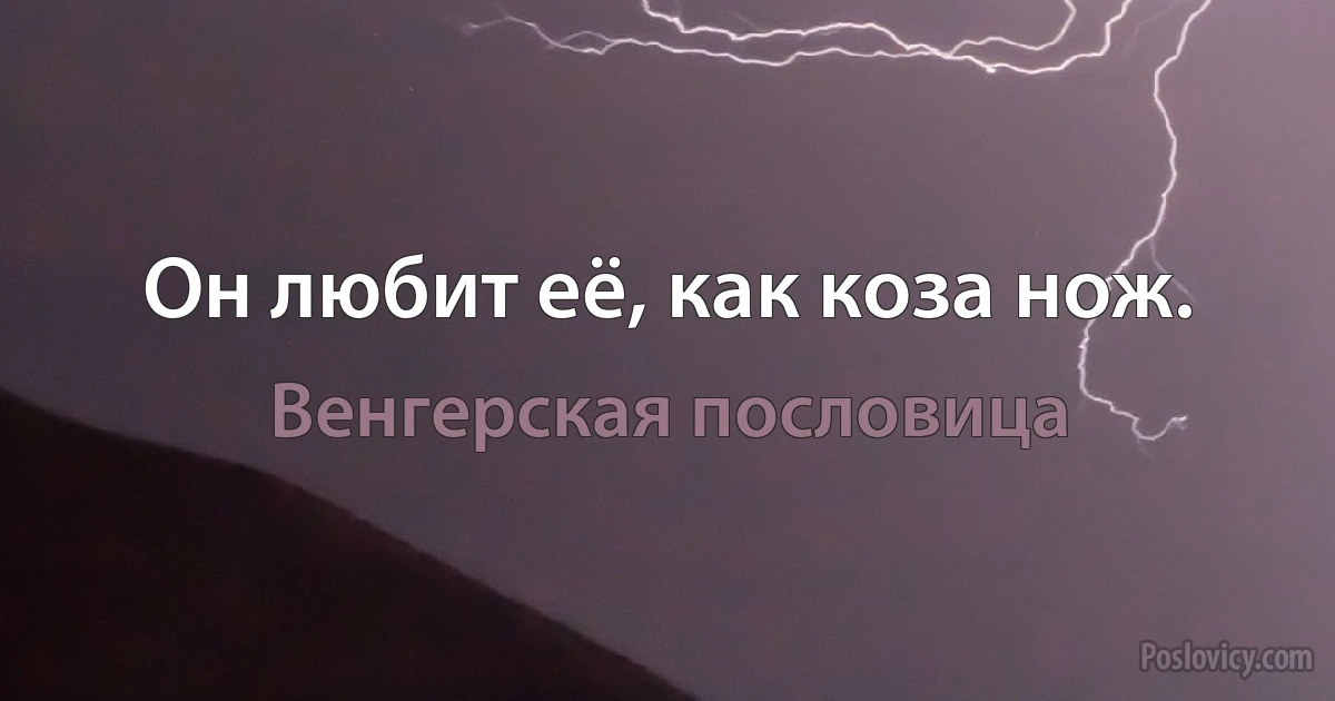 Он любит её, как коза нож. (Венгерская пословица)