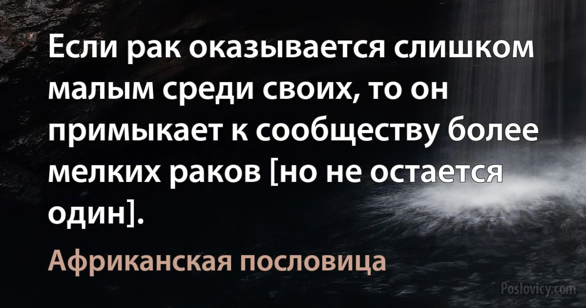 Если рак оказывается слишком малым среди своих, то он примыкает к сообществу более мелких раков [но не остается один]. (Африканская пословица)