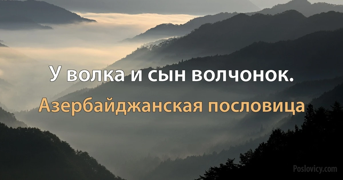 У волка и сын волчонок. (Азербайджанская пословица)