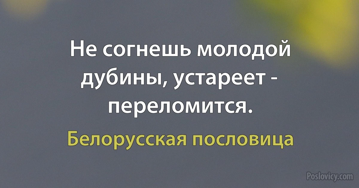 Не согнешь молодой дубины, устареет - переломится. (Белорусская пословица)