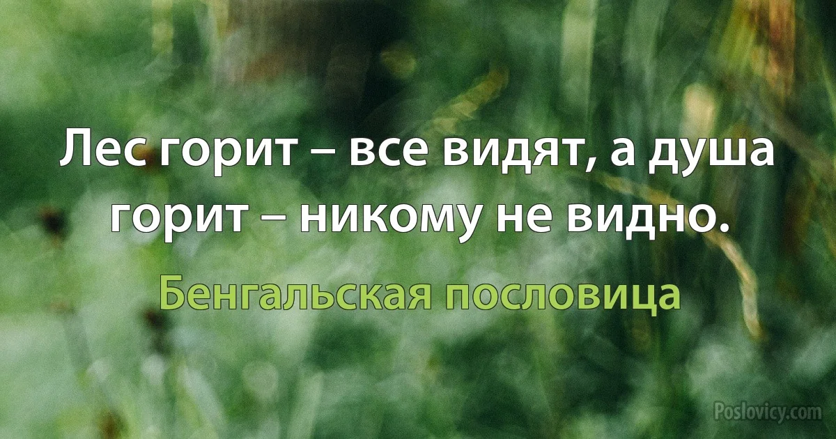 Лес горит – все видят, а душа горит – никому не видно. (Бенгальская пословица)