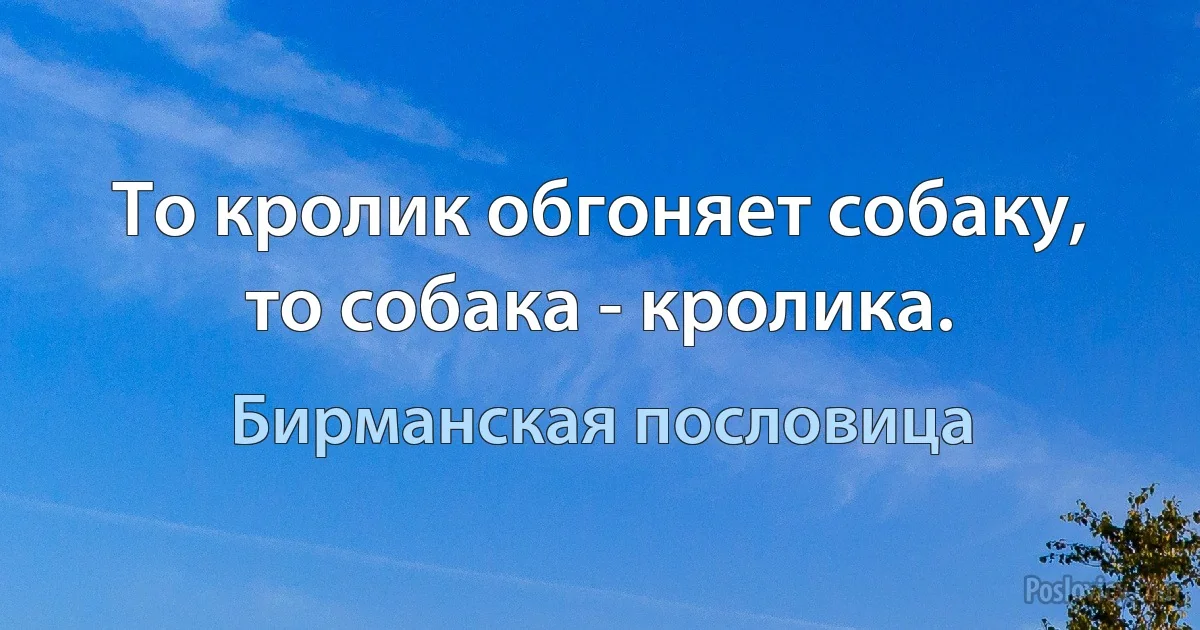 То кролик обгоняет собаку, то собака - кролика. (Бирманская пословица)