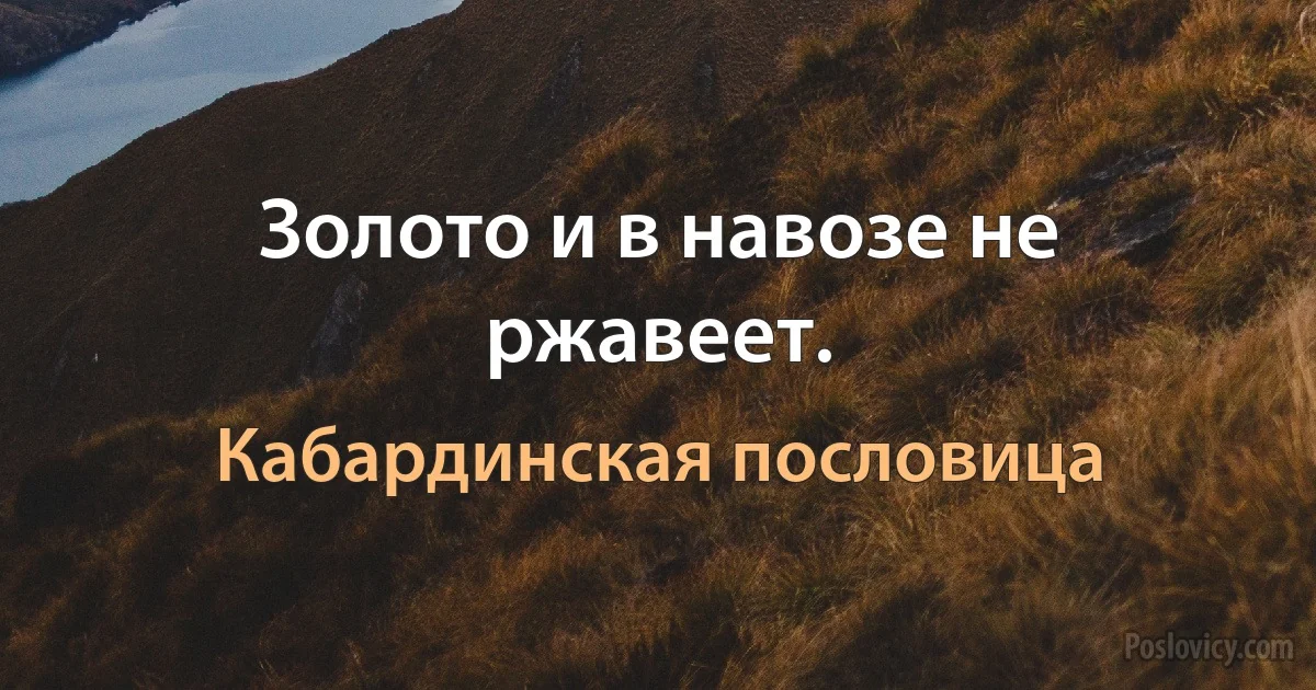 Золото и в навозе не ржавеет. (Кабардинская пословица)