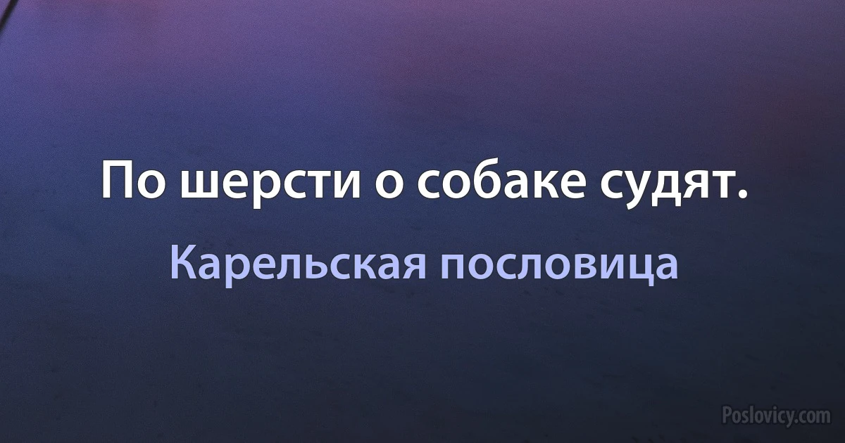 По шерсти о собаке судят. (Карельская пословица)