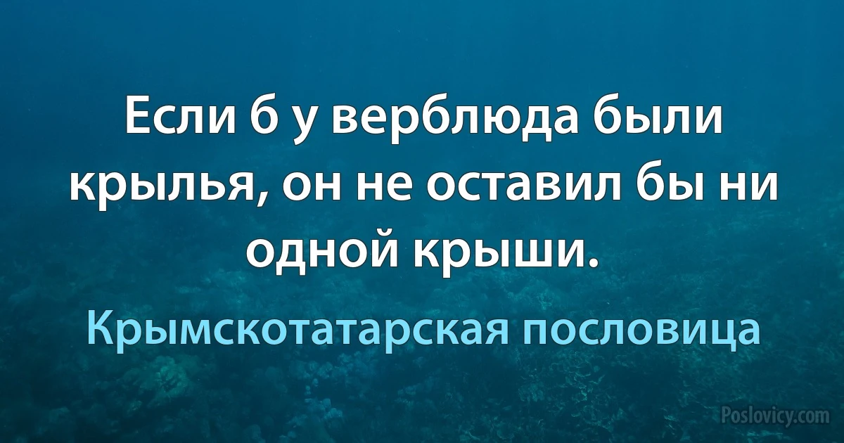 Если б у верблюда были крылья, он не оставил бы ни одной крыши. (Крымскотатарская пословица)