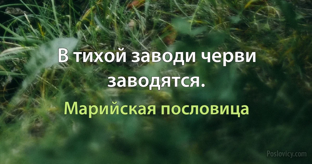 В тихой заводи черви заводятся. (Марийская пословица)