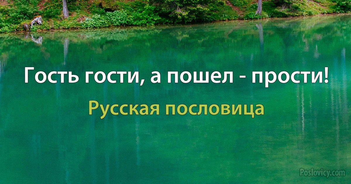 Гость гости, а пошел - прости! (Русская пословица)