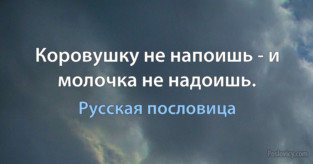 Коровушку не напоишь - и молочка не надоишь. (Русская пословица)