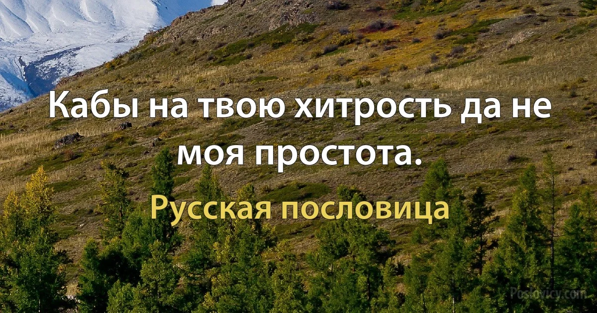 Кабы на твою хитрость да не моя простота. (Русская пословица)