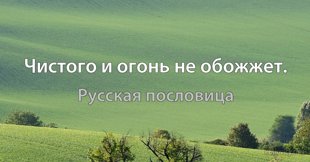 Чистого и огонь не обожжет. (Русская пословица)