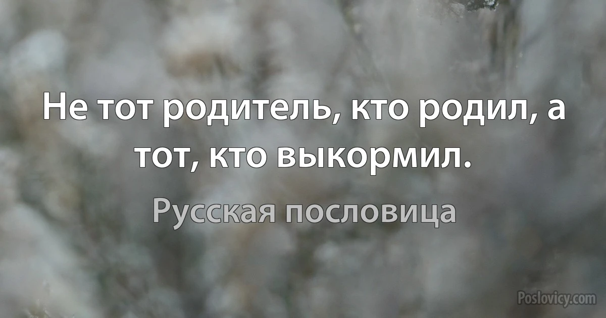 Не тот родитель, кто родил, а тот, кто выкормил. (Русская пословица)