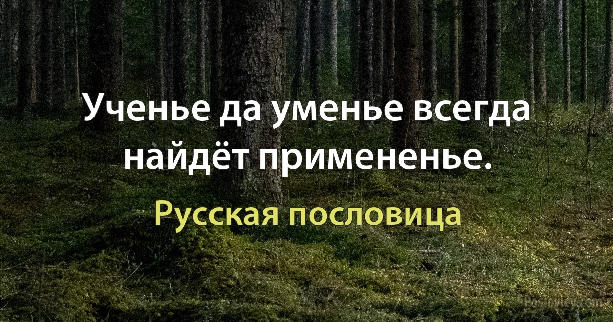 Ученье да уменье всегда найдёт примененье. (Русская пословица)