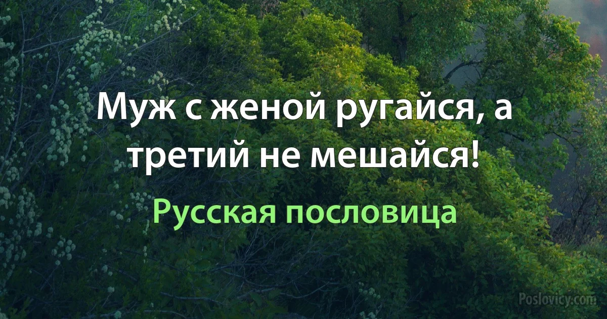 Муж с женой ругайся, а третий не мешайся! (Русская пословица)