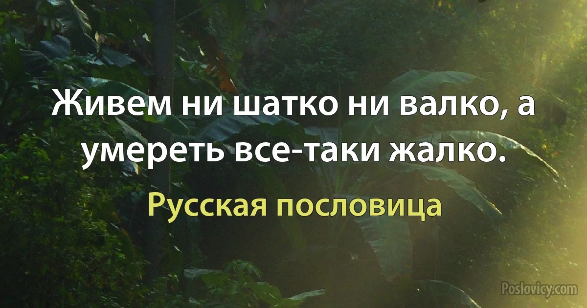 Живем ни шатко ни валко, а умереть все-таки жалко. (Русская пословица)