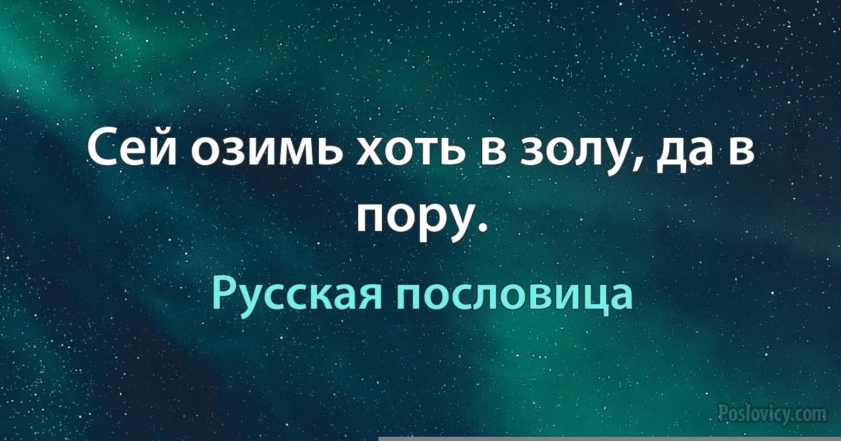 Сей озимь хоть в золу, да в пору. (Русская пословица)