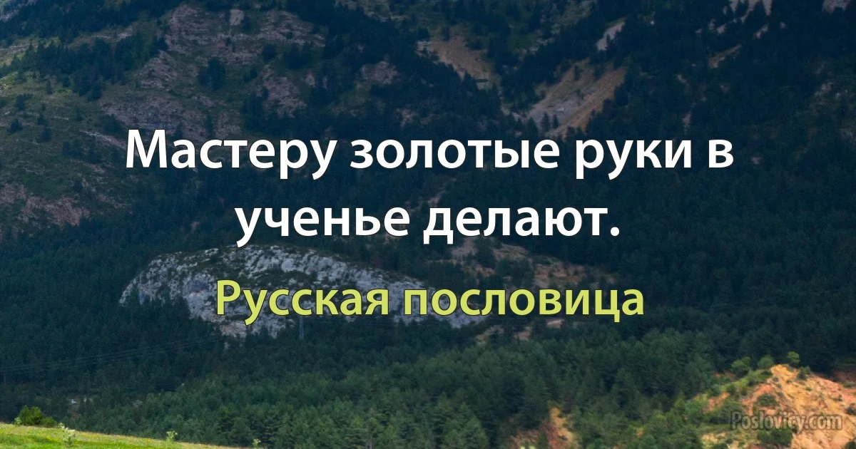 Мастеру золотые руки в ученье делают. (Русская пословица)