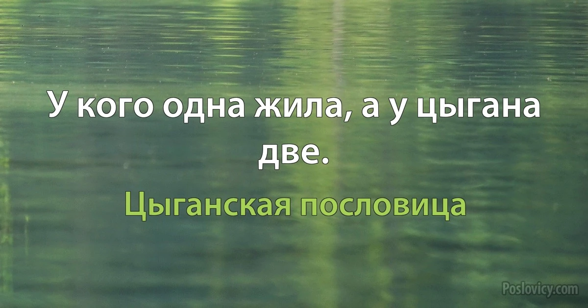 У кого одна жила, а у цыгана две. (Цыганская пословица)