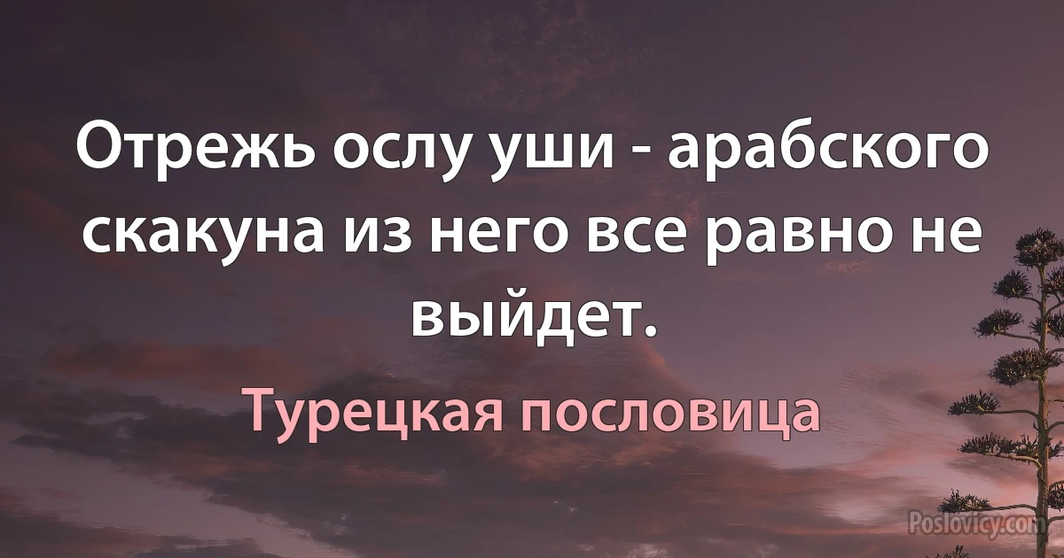 Отрежь ослу уши - арабского скакуна из него все равно не выйдет. (Турецкая пословица)