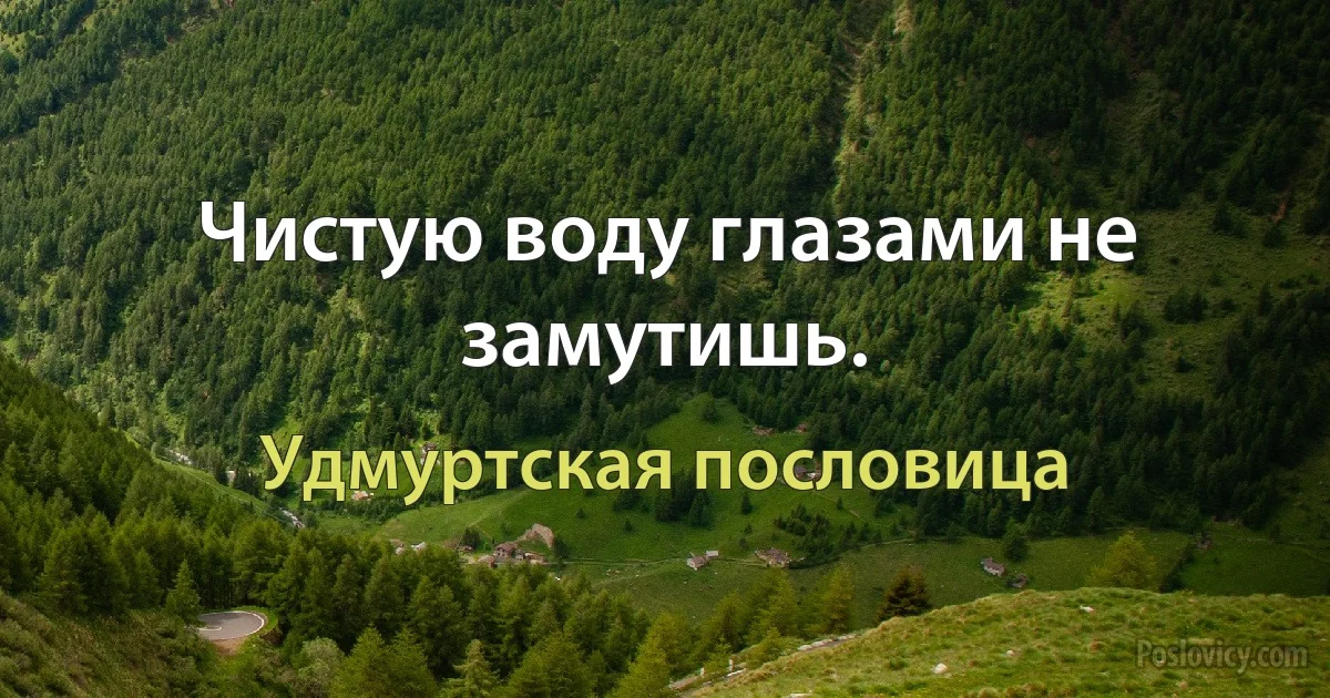 Чистую воду глазами не замутишь. (Удмуртская пословица)