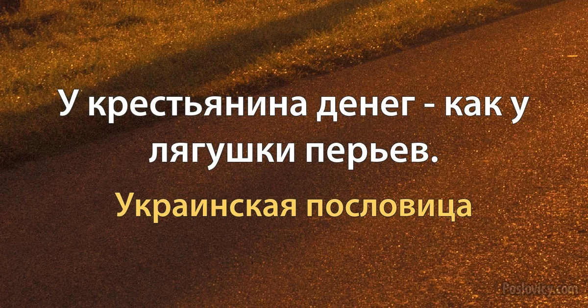 У крестьянина денег - как у лягушки перьев. (Украинская пословица)