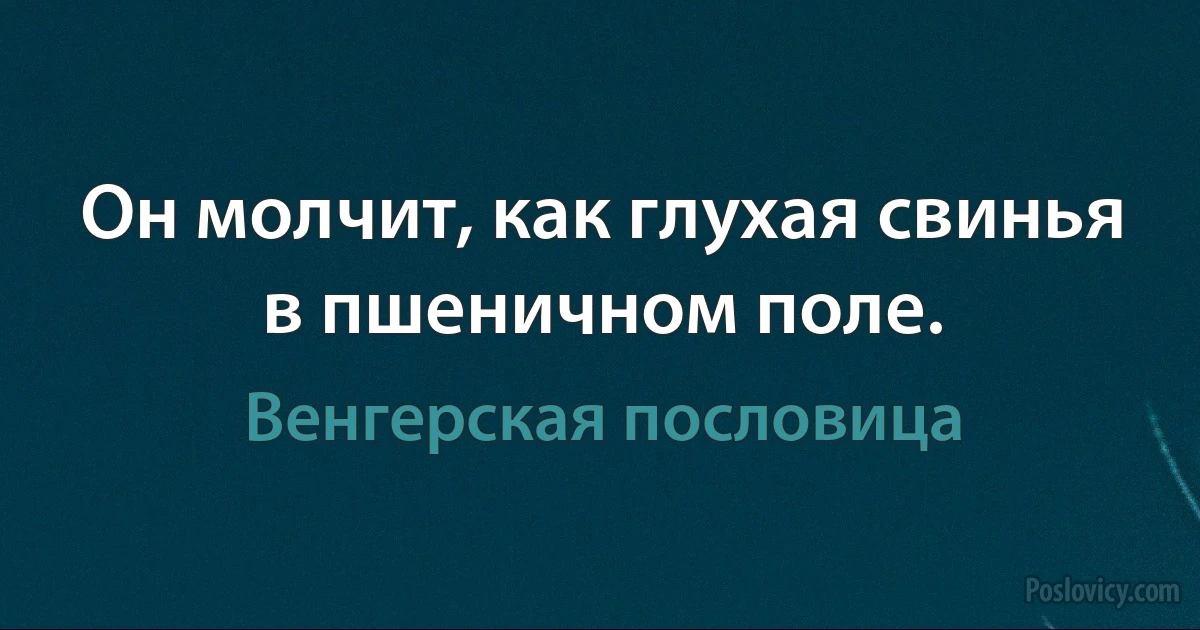 Он молчит, как глухая свинья в пшеничном поле. (Венгерская пословица)