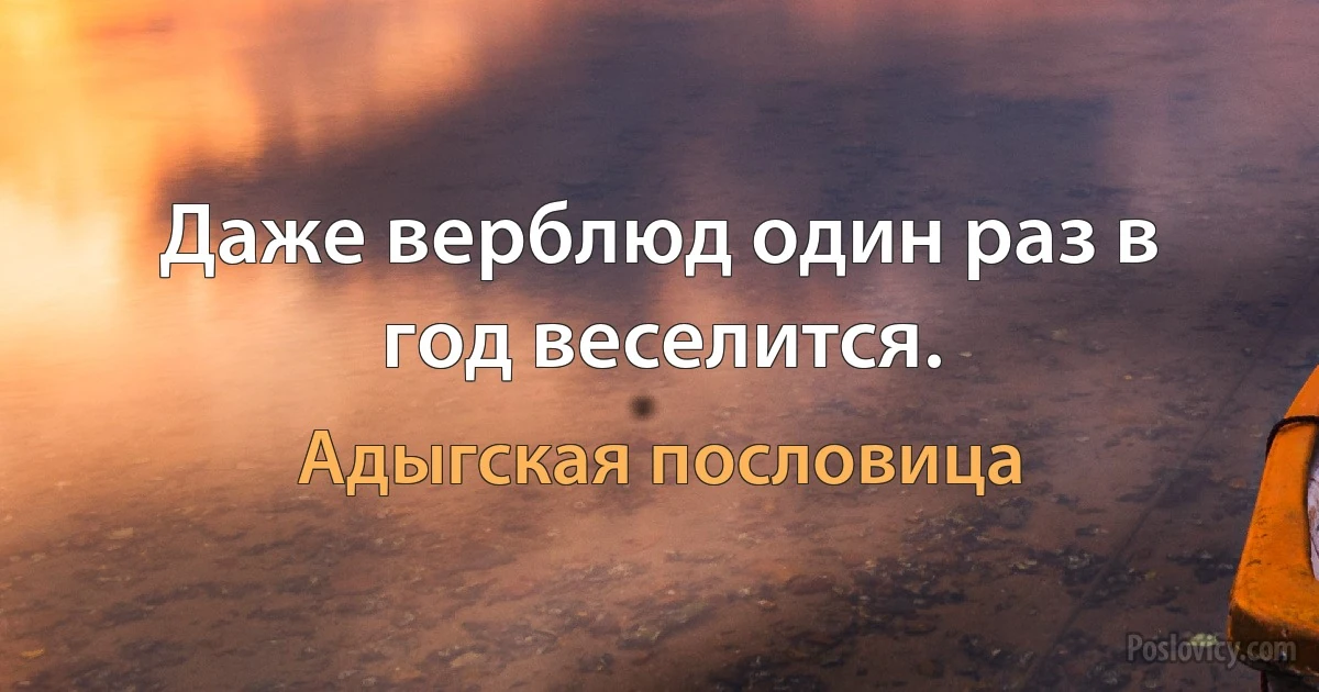 Даже верблюд один раз в год веселится. (Адыгская пословица)