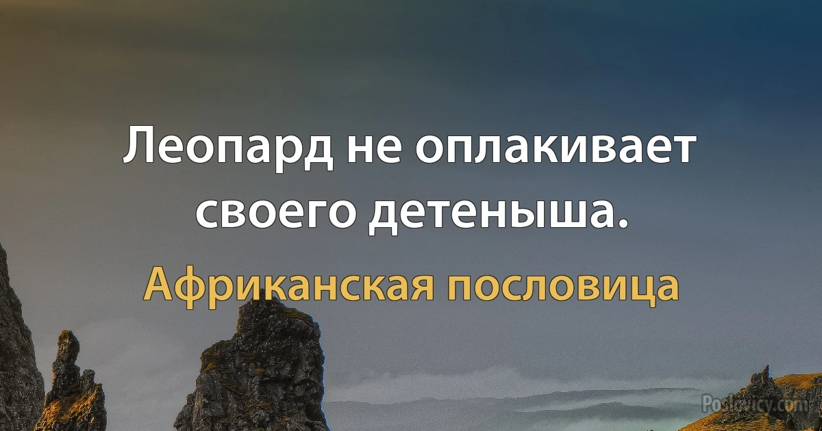 Леопард не оплакивает своего детеныша. (Африканская пословица)