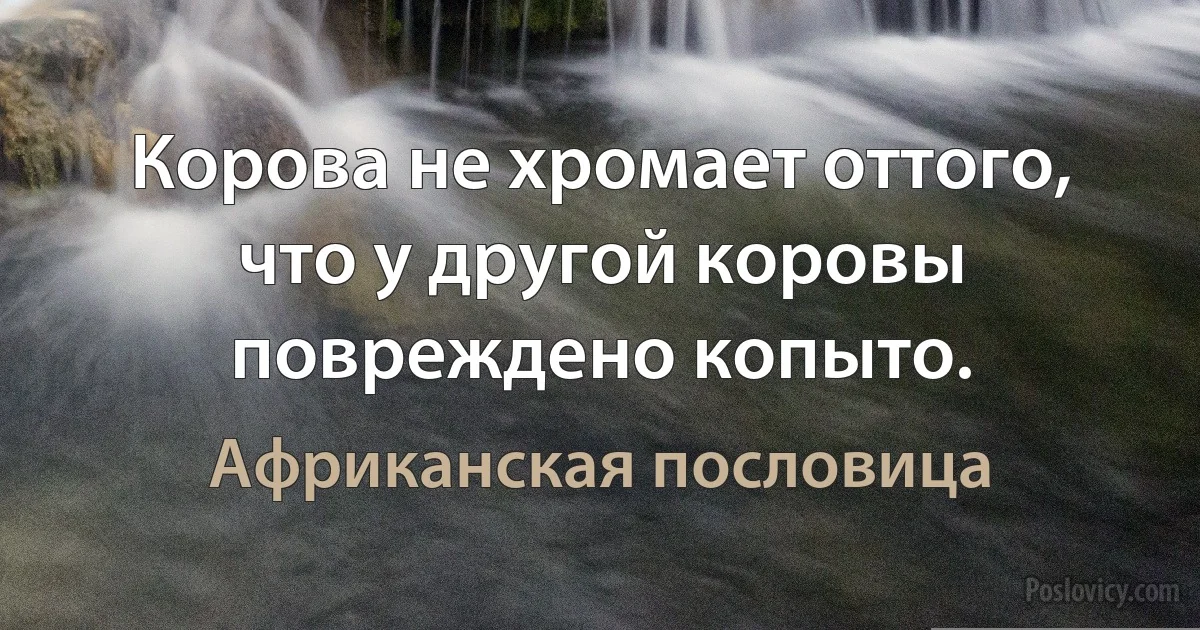 Корова не хромает оттого, что у другой коровы повреждено копыто. (Африканская пословица)