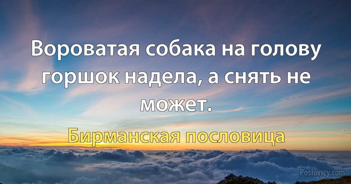 Вороватая собака на голову горшок надела, а снять не может. (Бирманская пословица)