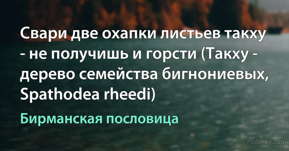 Свари две охапки листьев такху - не получишь и горсти (Такху - дерево семейства бигнониевых, Spathodea rheedi) (Бирманская пословица)