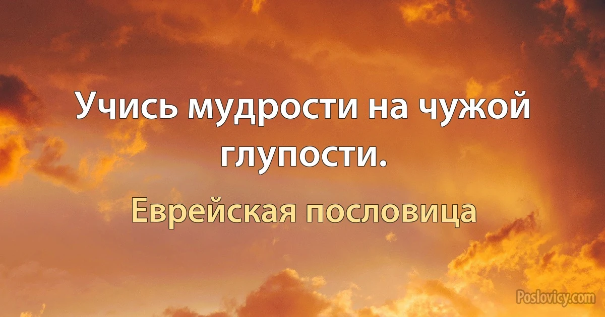 Учись мудрости на чужой глупости. (Еврейская пословица)