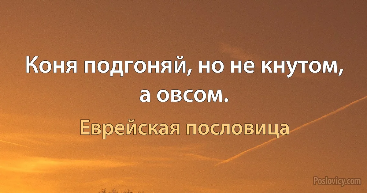 Коня подгоняй, но не кнутом, а овсом. (Еврейская пословица)