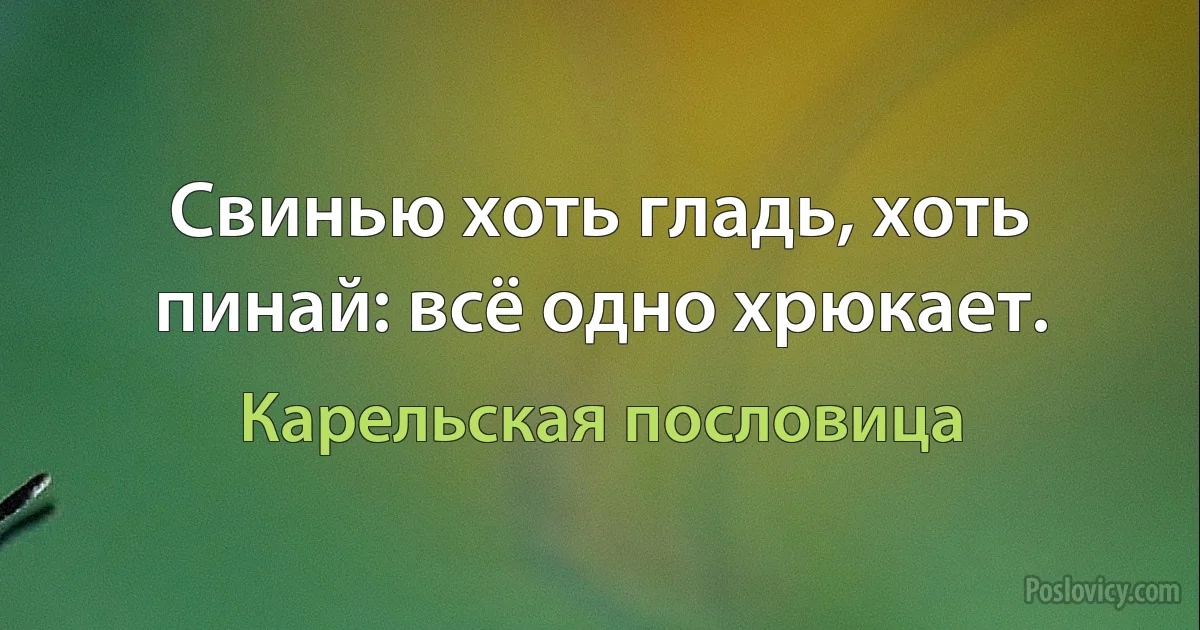 Свинью хоть гладь, хоть пинай: всё одно хрюкает. (Карельская пословица)