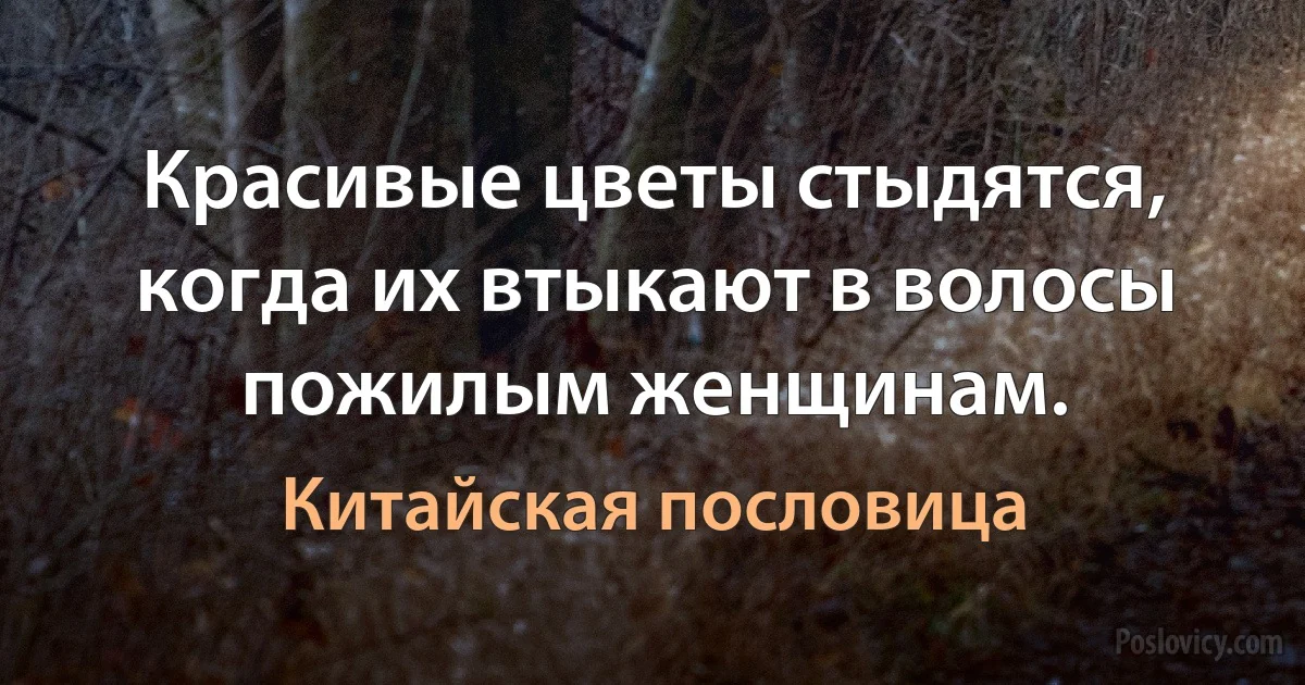 Красивые цветы стыдятся, когда их втыкают в волосы пожилым женщинам. (Китайская пословица)